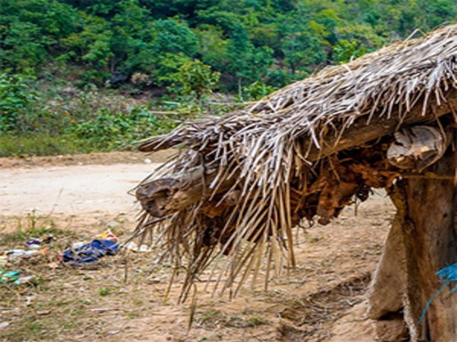 Tribal village visit