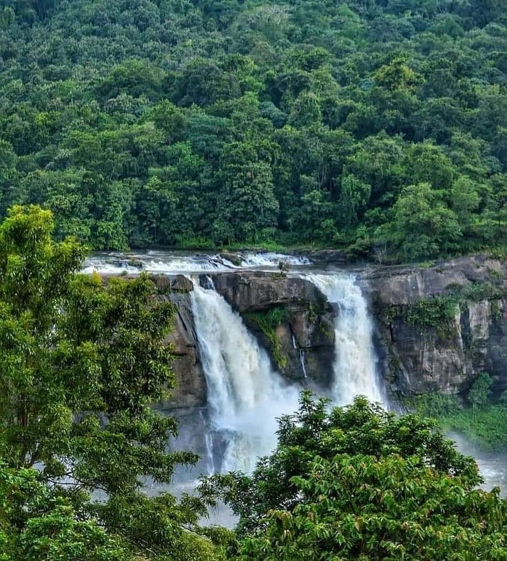 Vellappara Waterfall spreading across its rock shelf below the forest